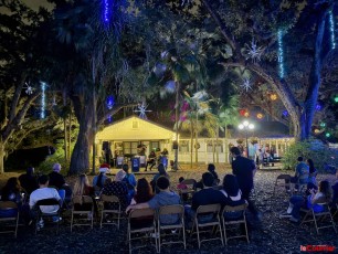 winter-wonderland-hoffman-decorations-noel-flamingo-gardens-davie-floride-4235