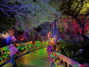 winter-wonderland-hoffman-decorations-noel-flamingo-gardens-davie-floride-4278