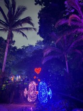 winter-wonderland-hoffman-decorations-noel-flamingo-gardens-davie-floride-4286