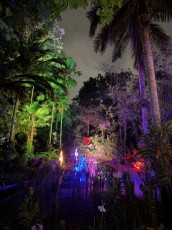 winter-wonderland-hoffman-decorations-noel-flamingo-gardens-davie-floride-4289