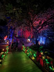 winter-wonderland-hoffman-decorations-noel-flamingo-gardens-davie-floride-4290