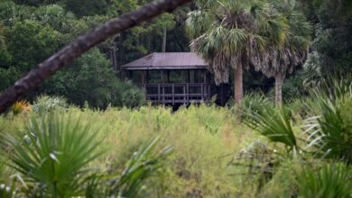 Découvrez Fern Forest Nature Center à Coconut Creek