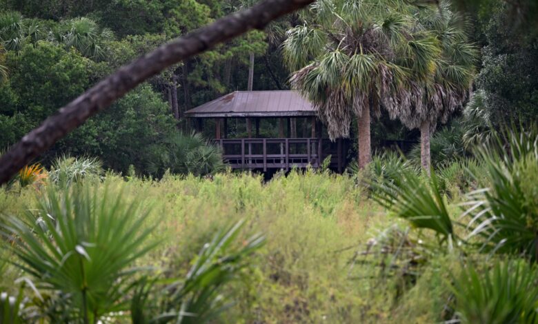 Découvrez Fern Forest Nature Center à Coconut Creek