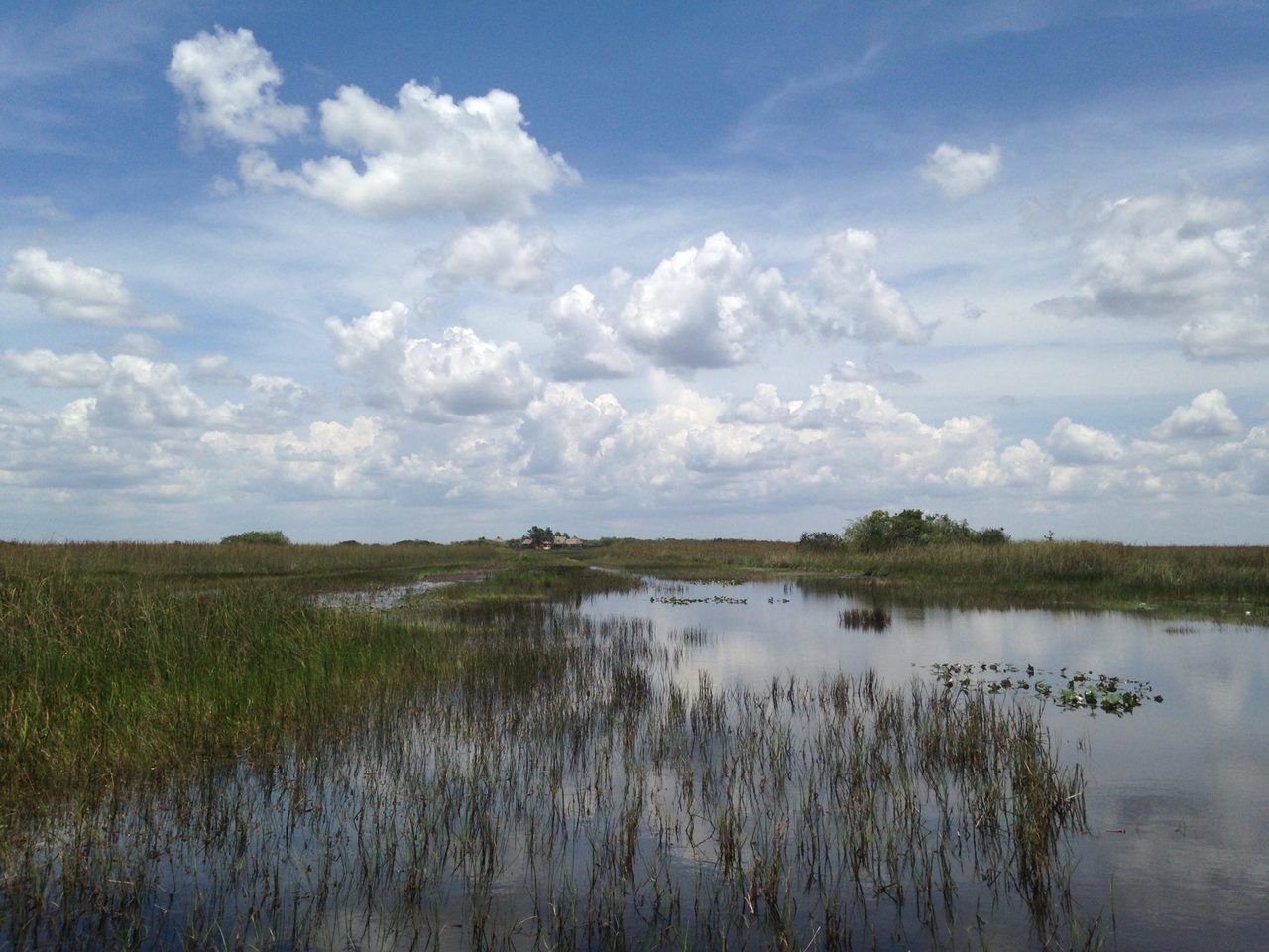 Everglades Miami Floride