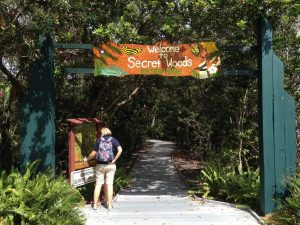 Parc naturel en Floride