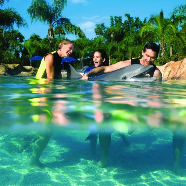 Nager avec les Dauphins en Floride