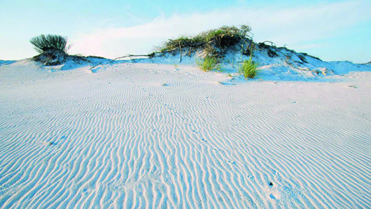 Grayton Beach