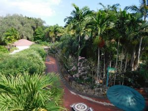 Pinecrest Tropical Garden - Miami - Floride