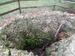 The Barnacle : parc historique à Coconut Grove - Miami - Floride