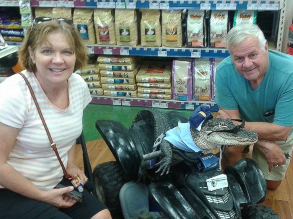 mary-thorn-rambo-lakeland