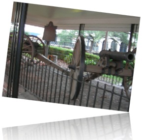 savannah-10