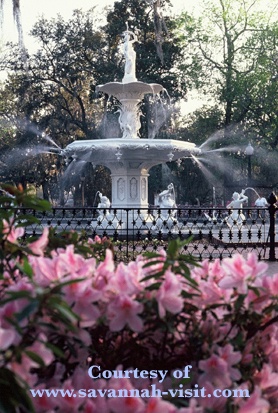 savannah-11