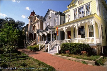 savannah-6