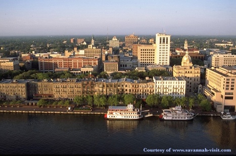 savannah2