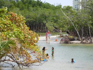 Lagon de Dubois Park à Jupiter / Floride