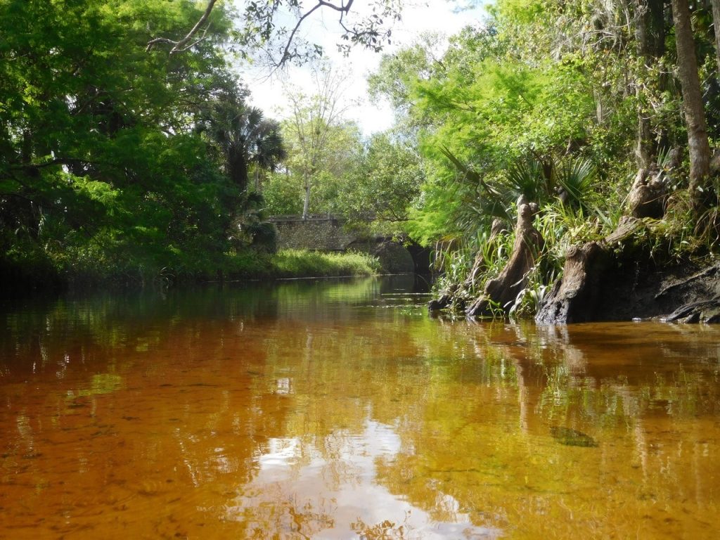 Kayak à Riverbend Park / Jupiter / Floride