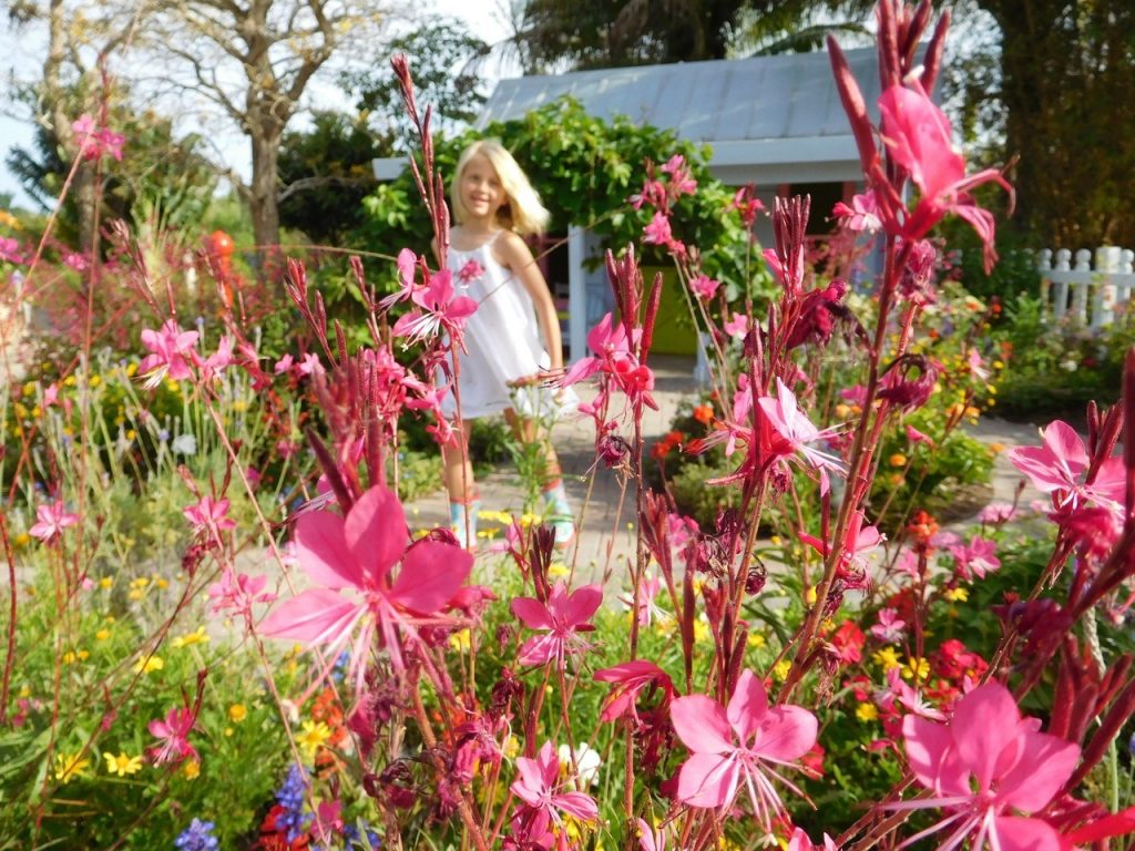 Jardins Botaniques de Naples / Floride
