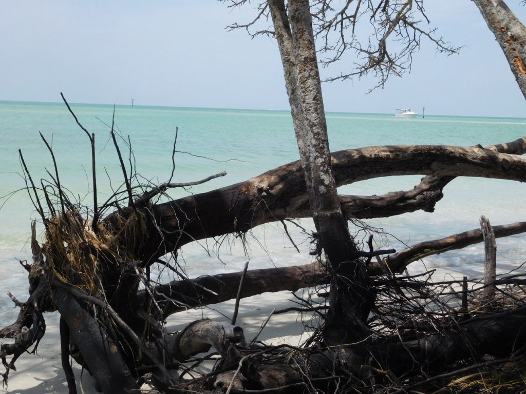 Plage de Delnor-Wiggins Pass State Park à Naples Floride