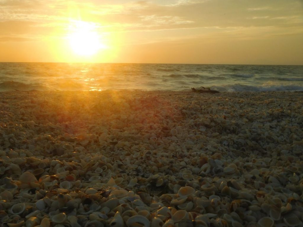 Coucher de soleil sur la Plage de Casey Key / Nokomis / Floride