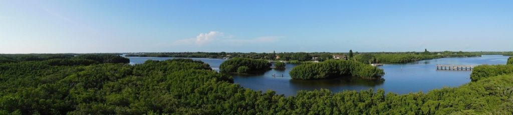 Parc de Weedon Island à St Petersburg, Floride