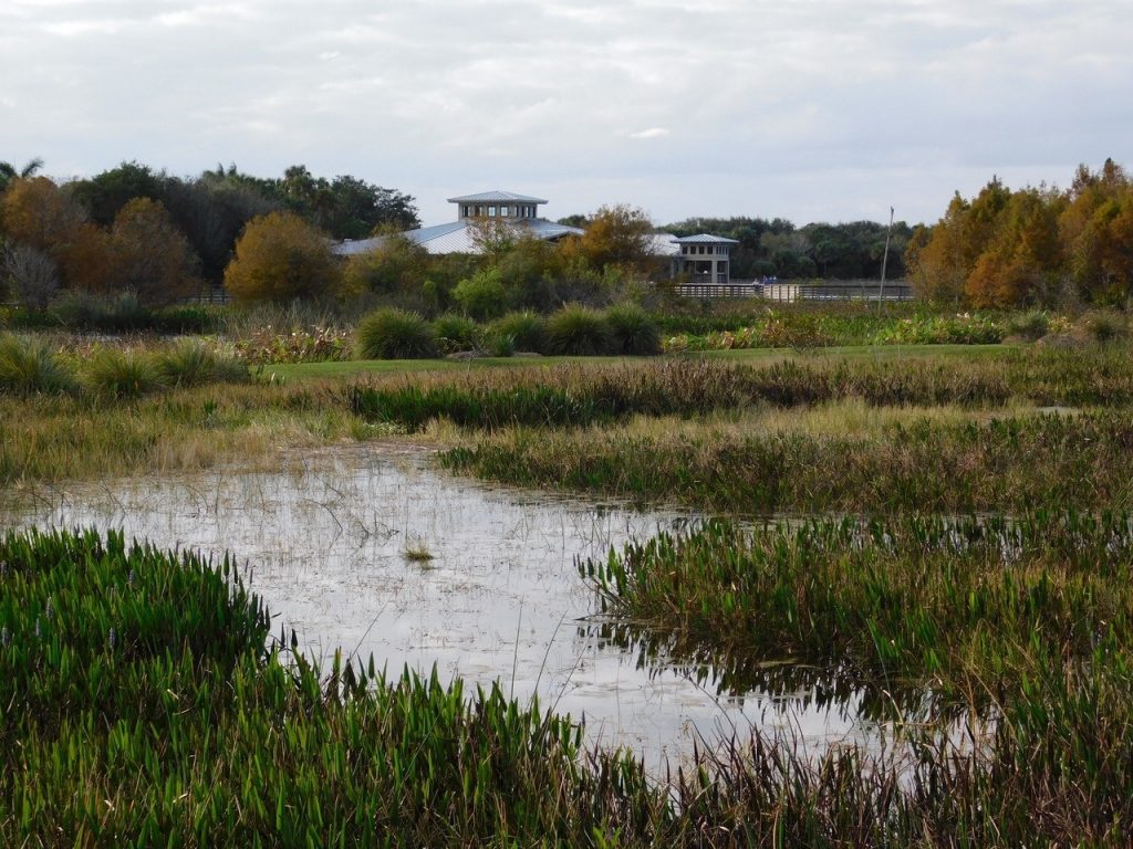 Green Cay Park / Everglades / Boynton Beach / Floride