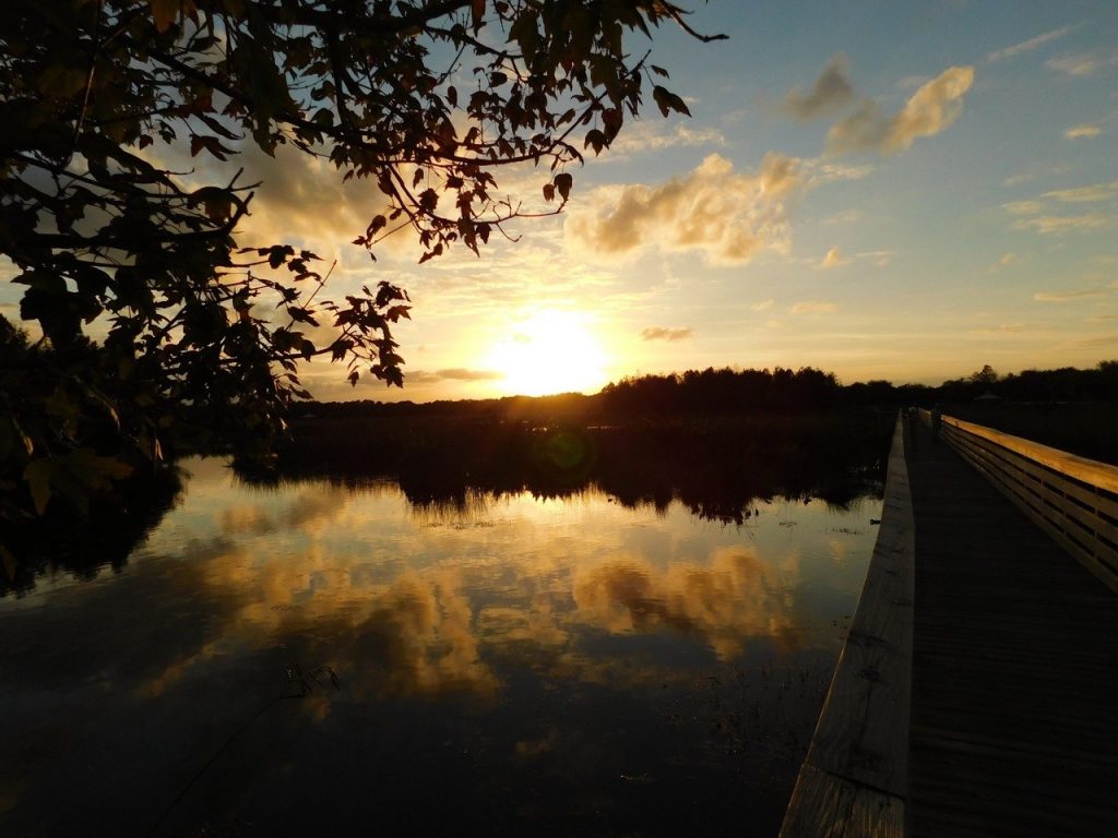 Coucher de soleil sur Green Cay Park / Everglades / Boynton Beach / Floride