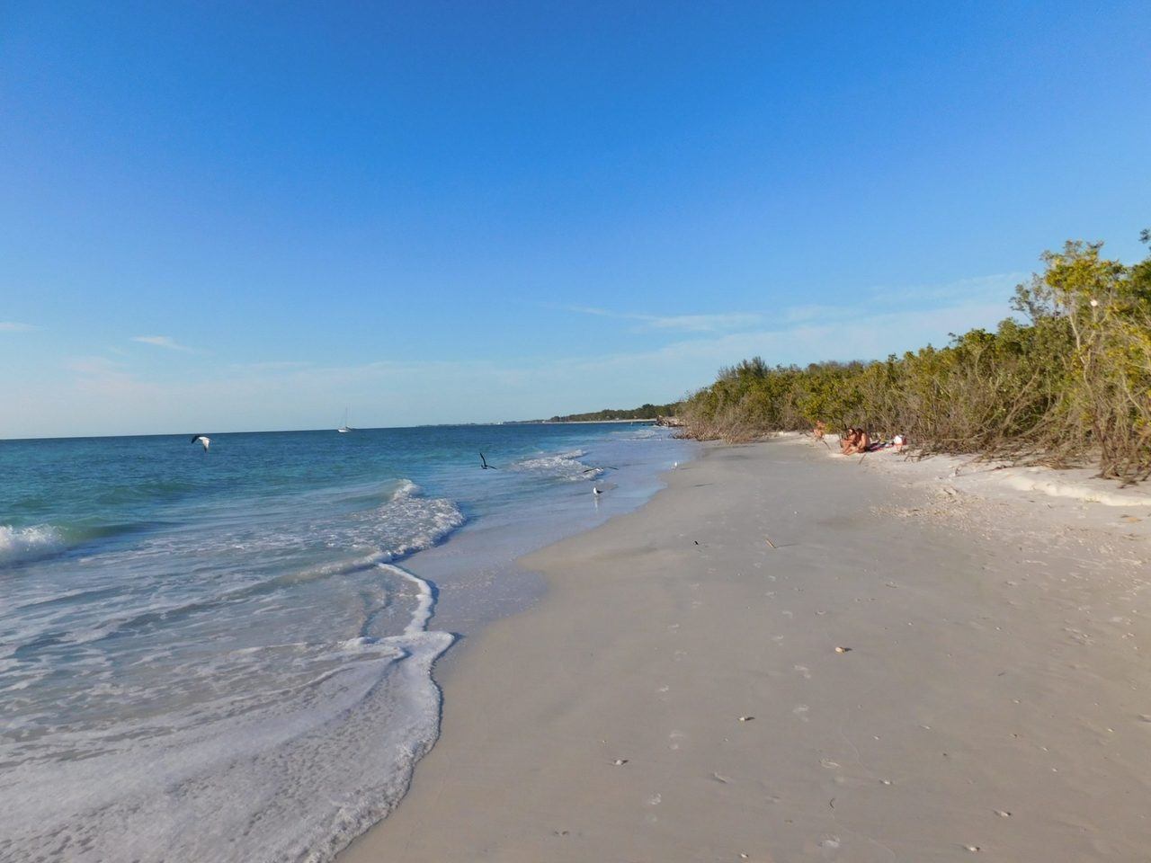 Découvrir Longboat Key et sa magnifique "Beer Can Island" Le Courrier