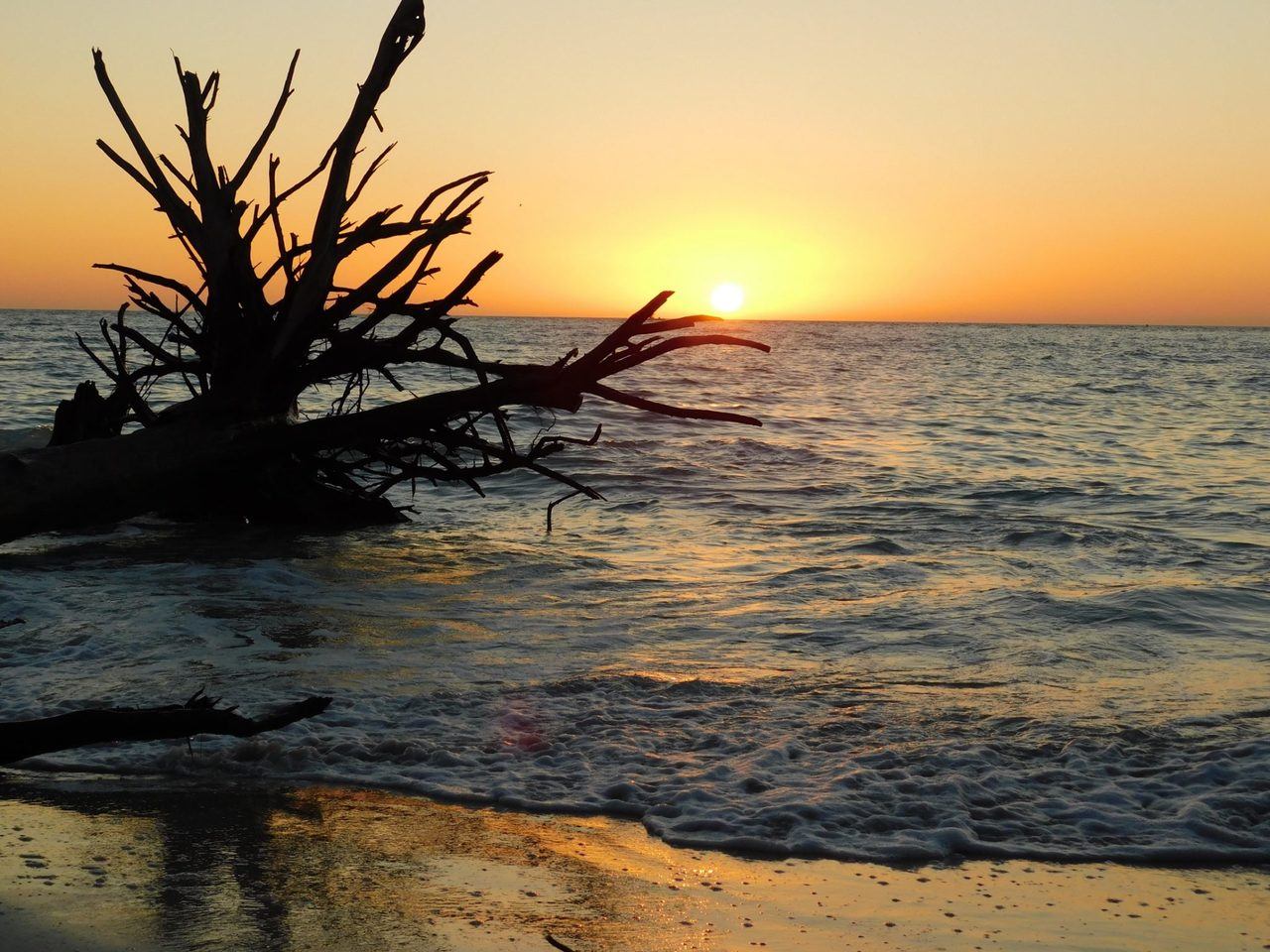 Découvrir Longboat Key et sa magnifique "Beer Can Island" Le Courrier