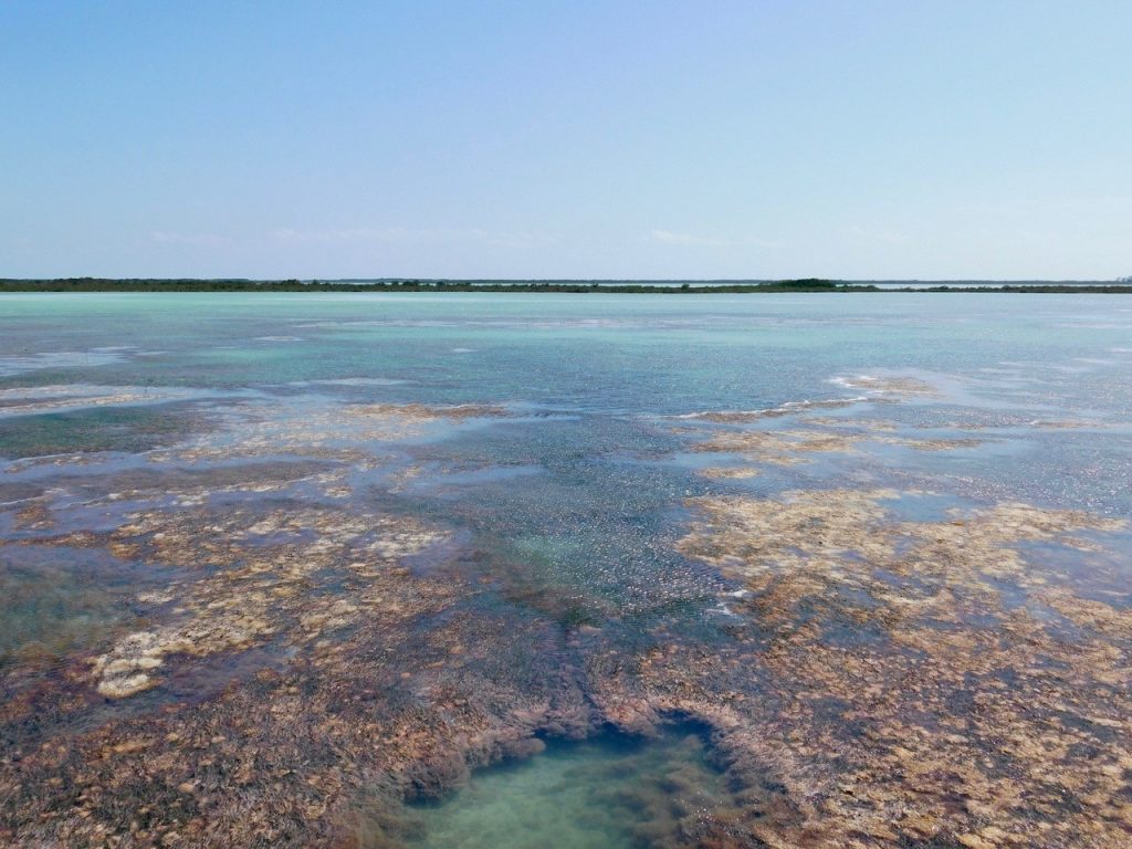 Les Lower Keys : Le Backcountry de Key West