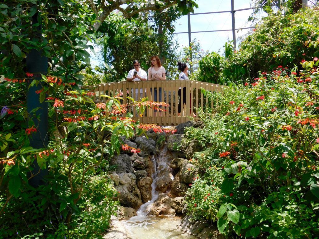 Butterfly World, le parc à papillons de Coconut Creek en Floride.