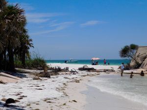 Plage sur l'île d'Egmont Key en Floride