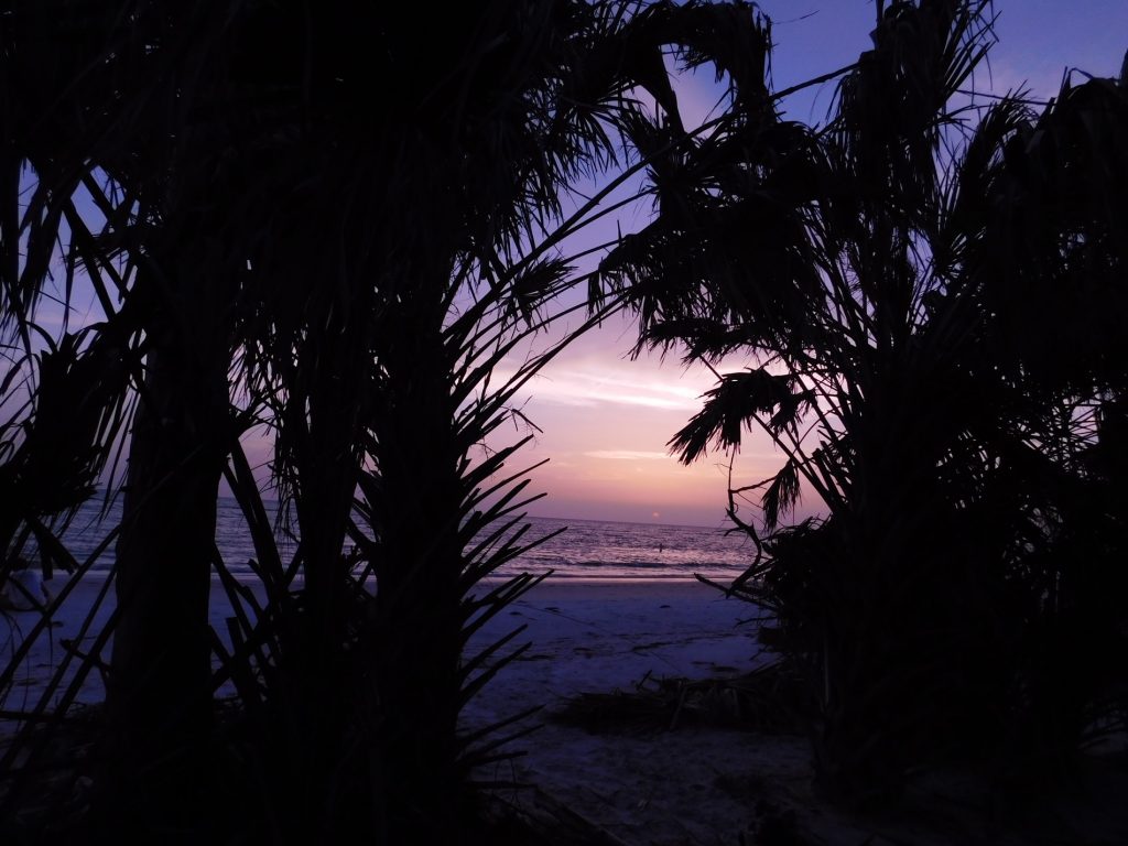 Coucher de soleil sur la plage de Fort De Soto à St Petersburg