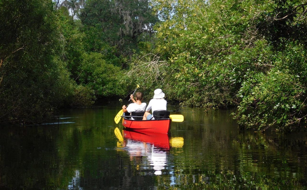 Descente en canoë-kayak de la Little Manatee River (à Wimauma, entre Tampa et Bradenton)