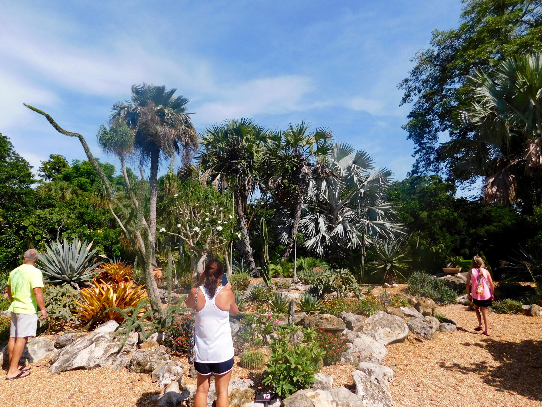 Selby Botanical Gardens De Sarasota : De Magnifiques Jardins Botaniques ...