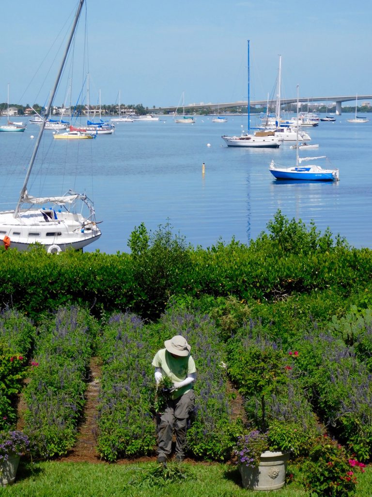 Jardins botaniques Mary Selby Botanical Gardens à Sarasota (Floride)