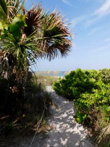 Plage sur l'île de Cayo Costa (entre Captiva et Boca Grande, dans le comté de Lee en Floride)