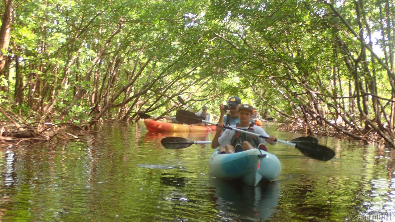 Kayak dans la Rookery Bay (Naples, Florida) avec Rising Tide Explorer