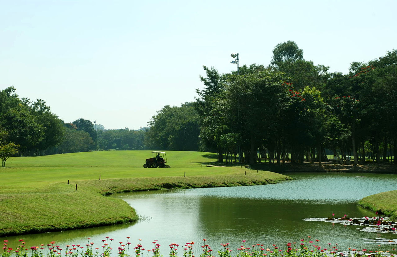 Terrain de golf