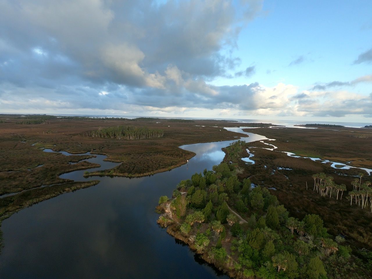 Embouchure de la Weeki Wachee River