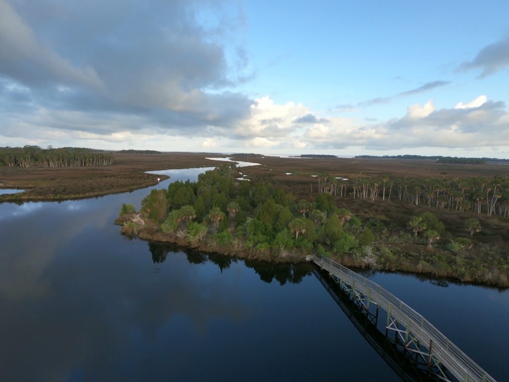 Embouchure de la Weeki Wachee River