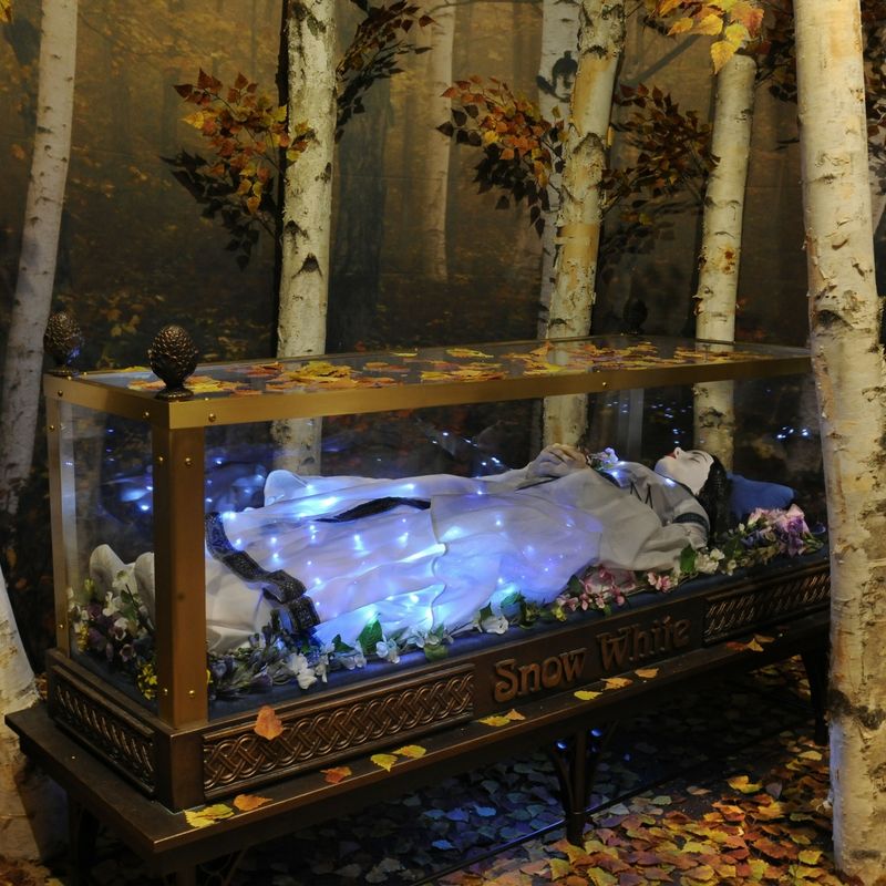 Expo Le Pouvoir du Poison au musée Frost de Miami