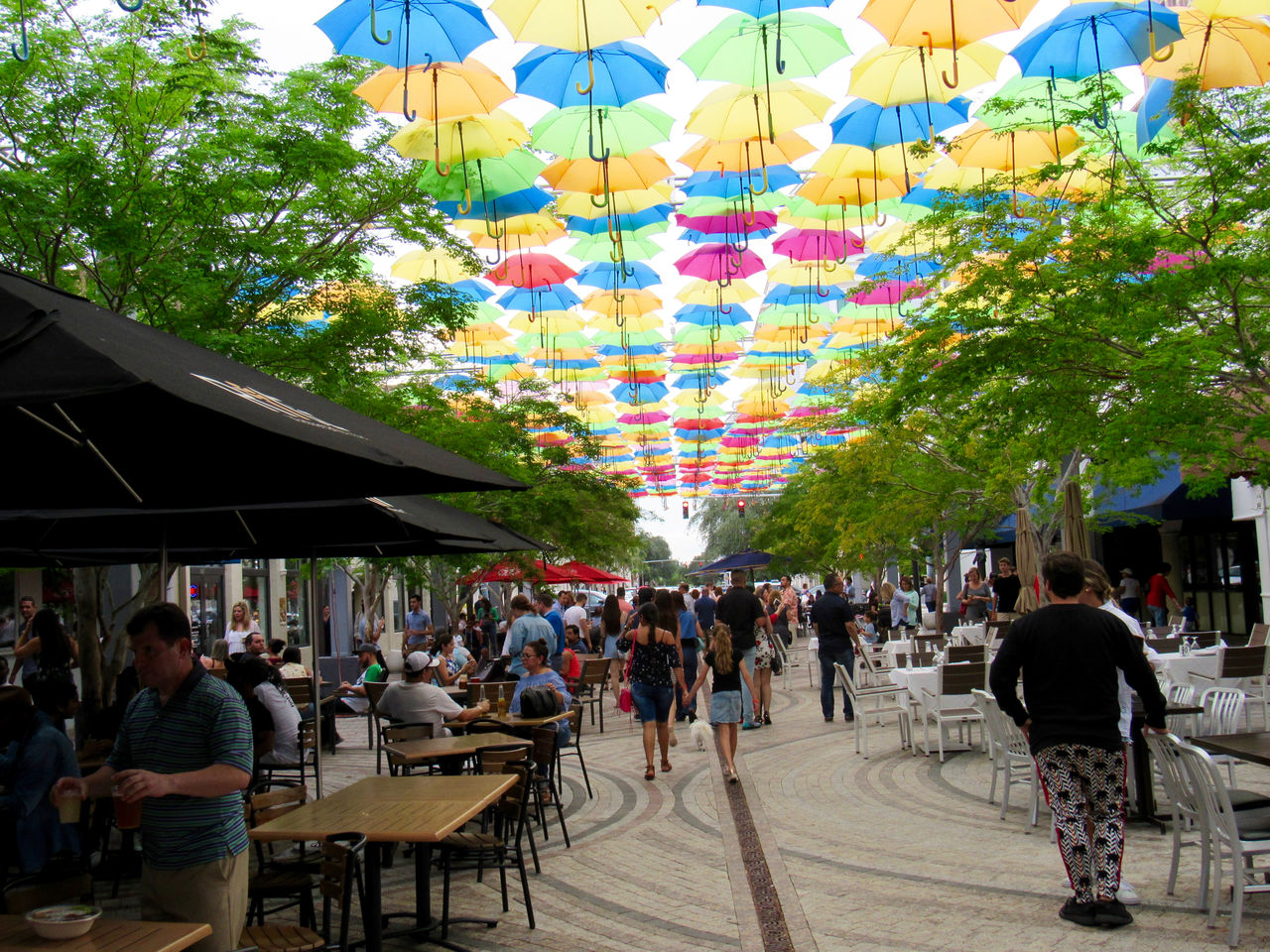 "Umbrella Sky" à Miami : le ciel de Coral Gables se couvre d'ombrelles