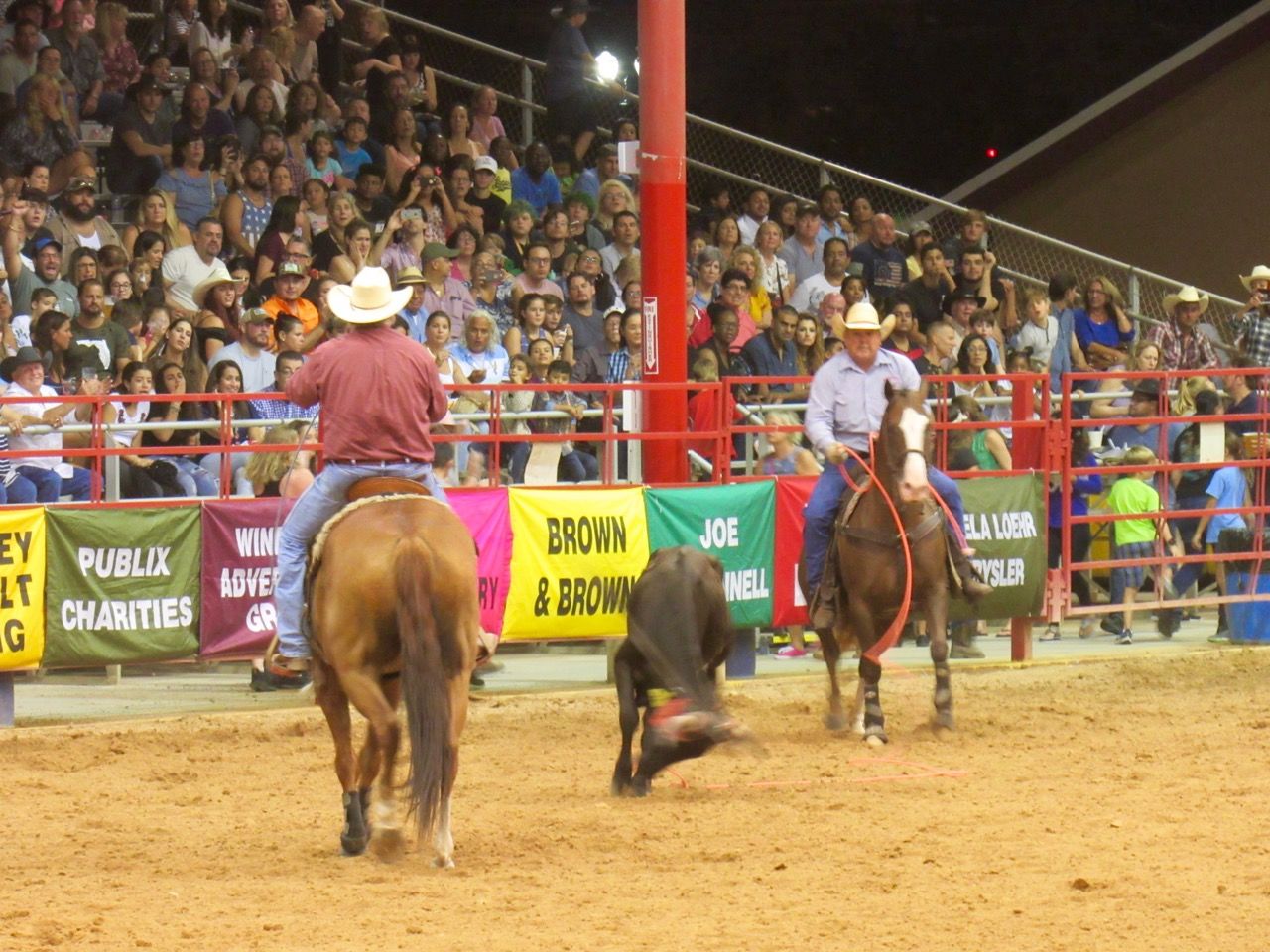 "Pro Rodeo" de Davie : le grand rodéo de Floride ! | Le Courrier des