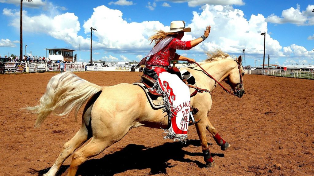 Le rodéo aux Etats-Unis