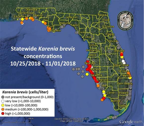marée rouge en novembre en Floride