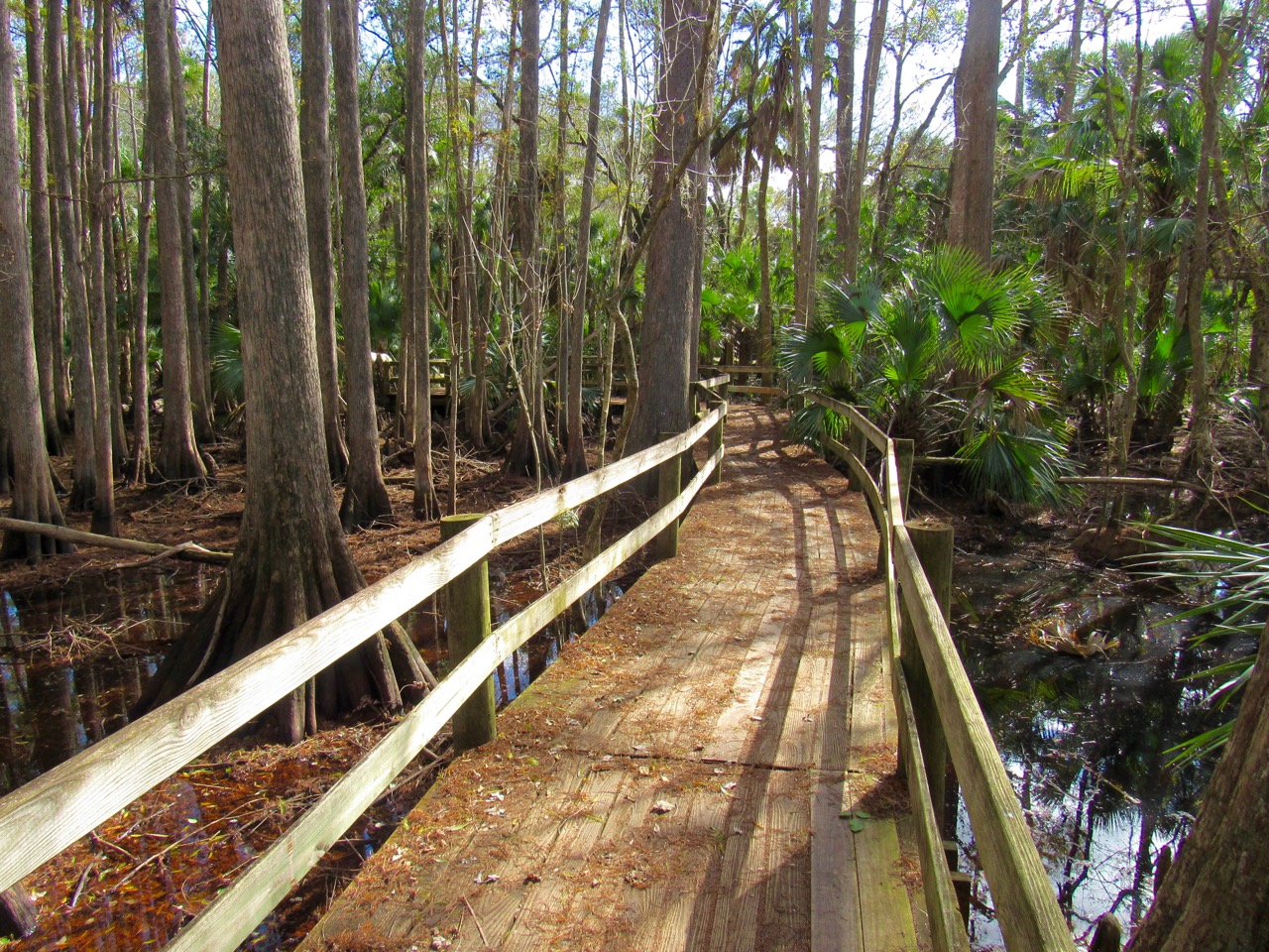 Babcock Ranch Preserve : de très beaux écotours à Punta Gorda (Floride ...