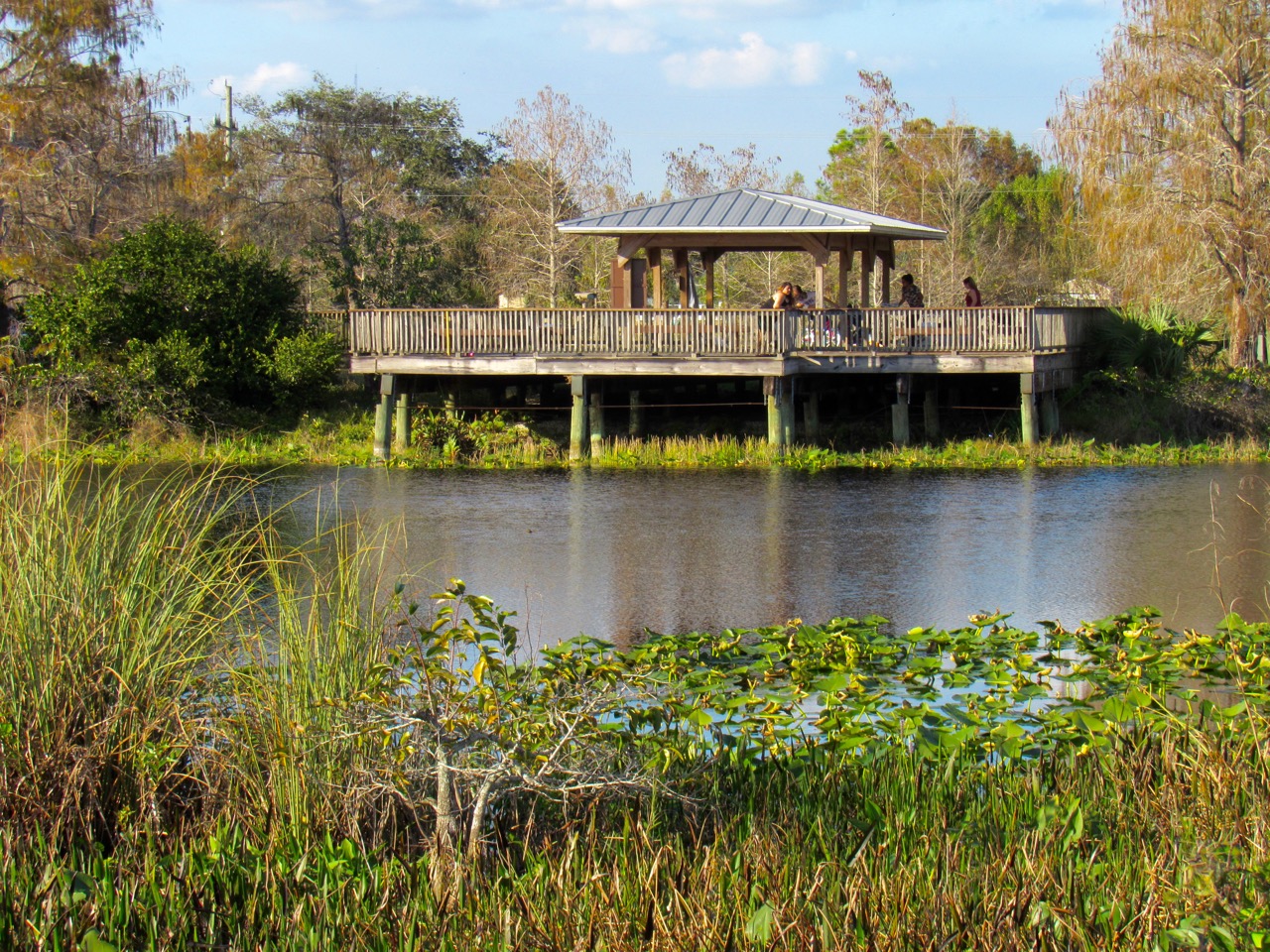 Les Everglades Au Loxahatchee National Wildlife Refuge à Boynton Beach ...