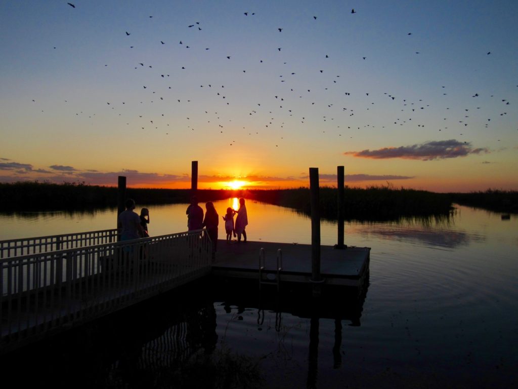 Coucher de soleil sur le Everglades au Loxahatchee National Wildlife Refuge à Boynton Beach en Floride