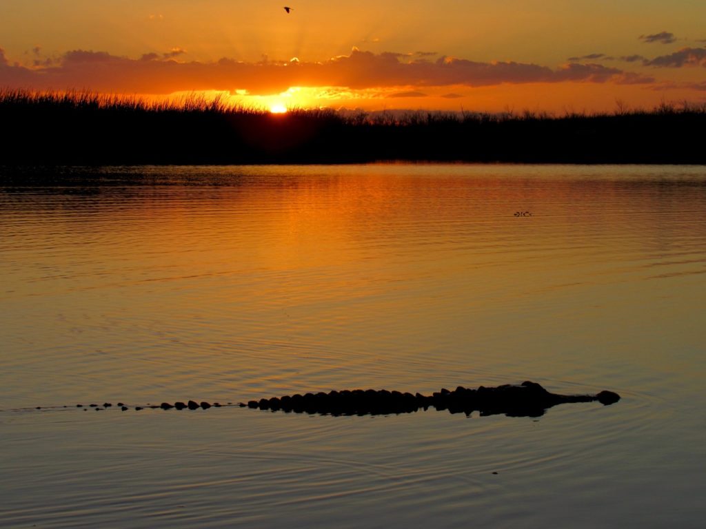 Coucher de soleil sur le Everglades au Loxahatchee National Wildlife Refuge à Boynton Beach en Floride