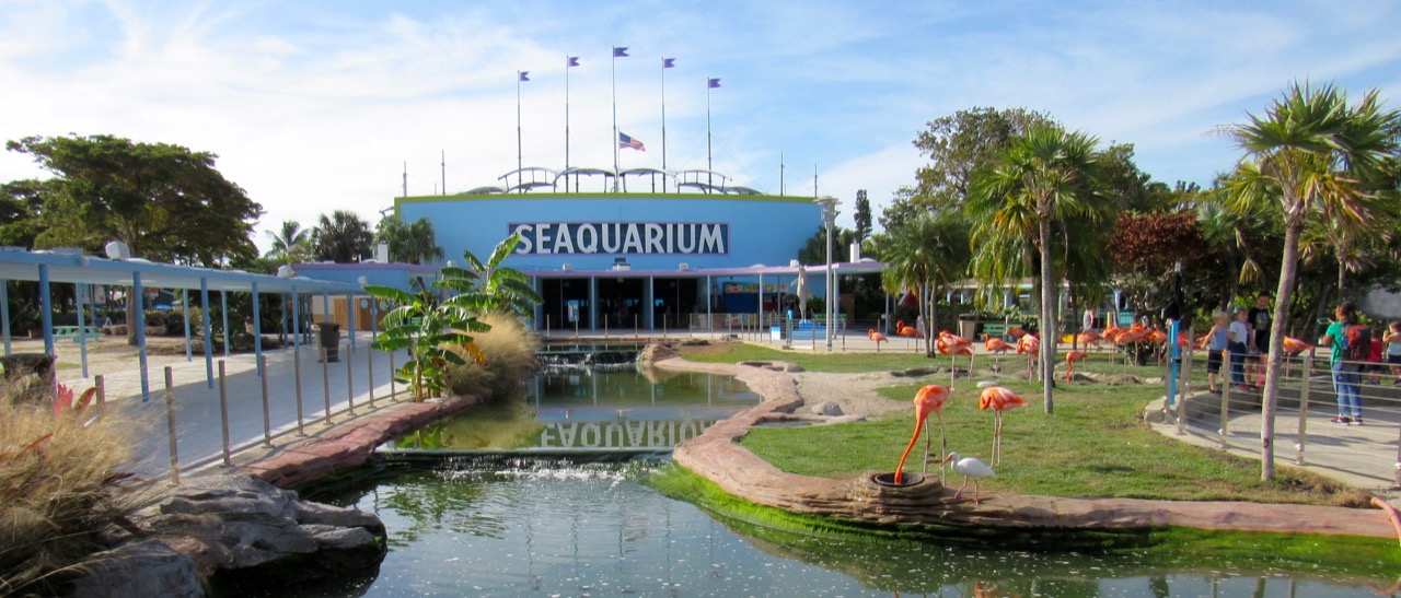 Miami Seaquarium